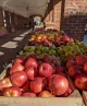 Oxford Circle Farmers Market