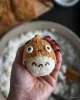 Sushi Totoro