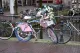 De Bloemenfiets