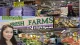 Fresh Farms International Market