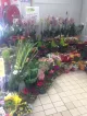 La Maison Fleurs