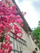 La Maison Fleurs