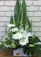 Joan O'Reillys Lilydale Florist