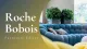 Roche Bobois