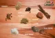 Seven Spices