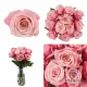 NSG Flower