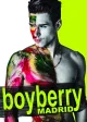 Boyberry Gay Bar