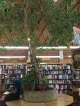 Skylight Books