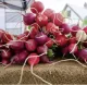 Telluride Farmers' Market - Friday