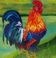 The Painted Rooster